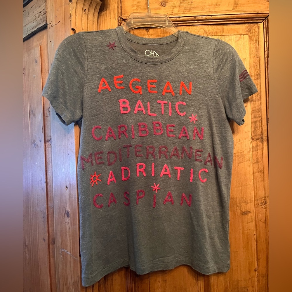 Anthropologie Heather Blue Tee with Red and Pink Embroidered Accents…Size XS